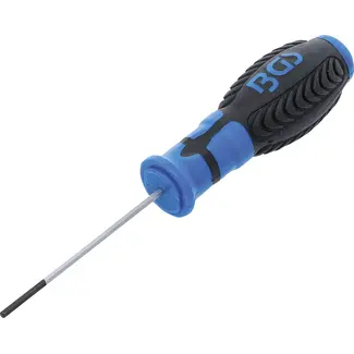BGS Schroevendraaier - binnenzeskant 2,5 mm - Meslengte 75 mm