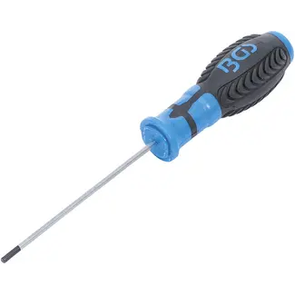 BGS Schroevendraaier - binnenzeskant 3 mm - Meslengte 100 mm