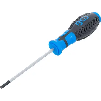 BGS technic Schroevendraaier - binnenzeskant 4 mm - Meslengte 100 mm