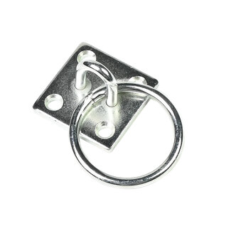 Benson Oogplaat met ring 6 mm