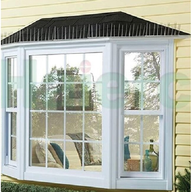 Benson Vogelpinnen 10 stuks