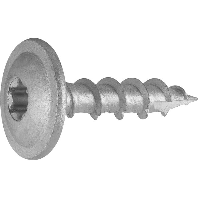 Connex Paalschroeven – 8x40mm – Torx – 48 stuks