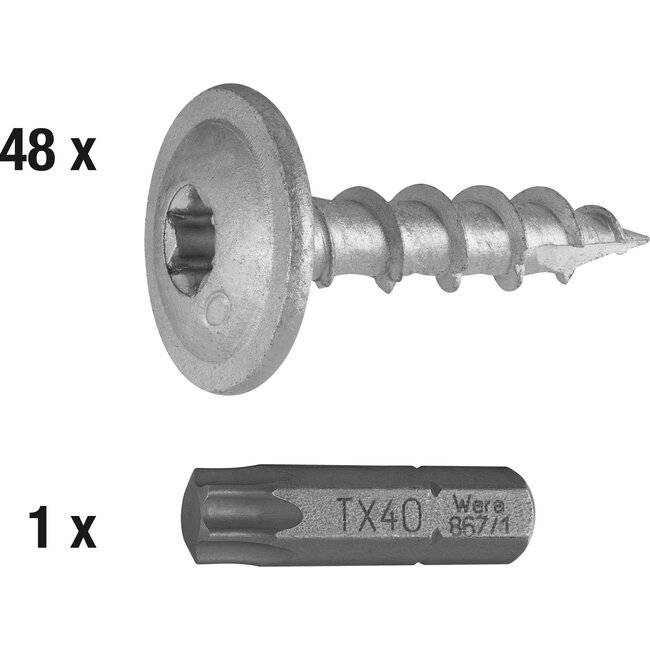 Connex Paalschroeven – 8x40mm – Torx – 48 stuks