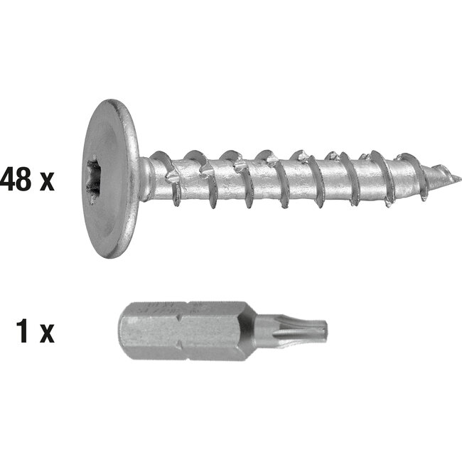 Connex Paalschroeven – 8x50mm – Torx – 48 stuks