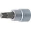 BGS Dopsleutelbit - 3/4" - Torx T80