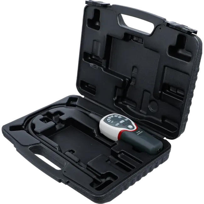 BGS Formeergas detector