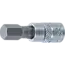 BGS Dopsleutelbit 1/4" INBUS 5/16"