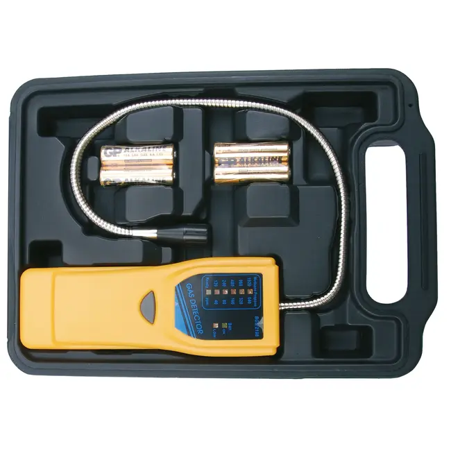 BGS Gasdetector