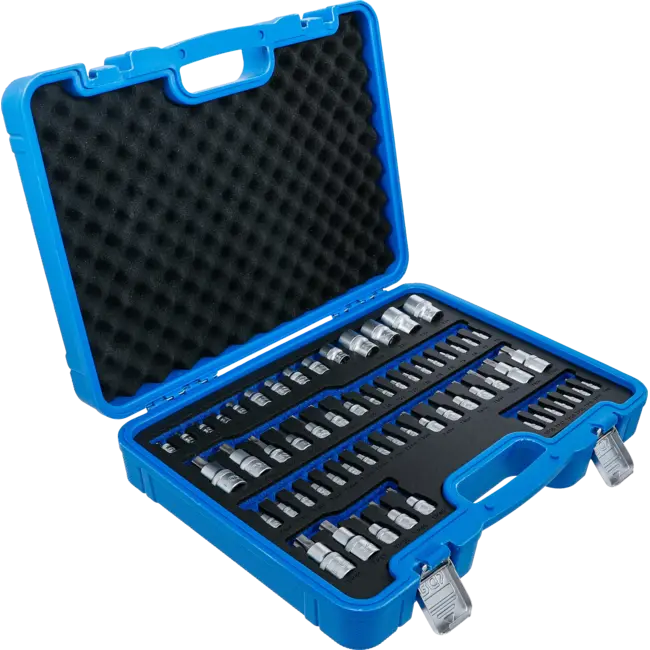 BGS Bit- en dopsleutelset - E-profiel / Torx / Torx met boring / TP-profiel (voor Torx Plus) - 60 delig