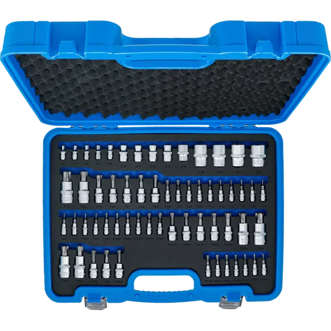 BGS Bit- en dopsleutelset - E-profiel / Torx / Torx met boring / TP-profiel (voor Torx Plus) - 60 delig