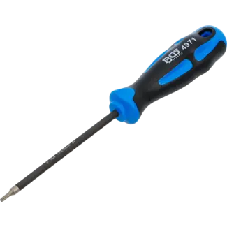 BGS technic Schroevendraaier - met diamantcoating - Torx T10