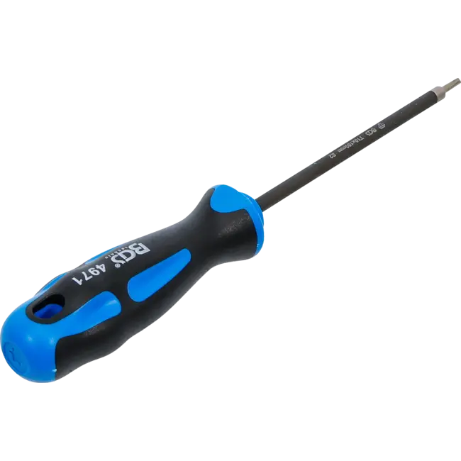 BGS Schroevendraaier - met diamantcoating - Torx T10