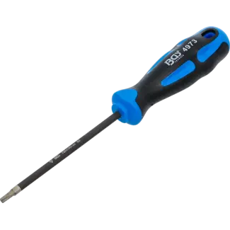 BGS technic Schroevendraaier - met diamantcoating - Torx T20