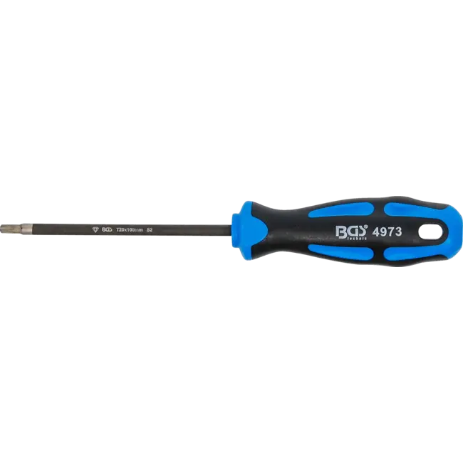 BGS Schroevendraaier - met diamantcoating - Torx T20