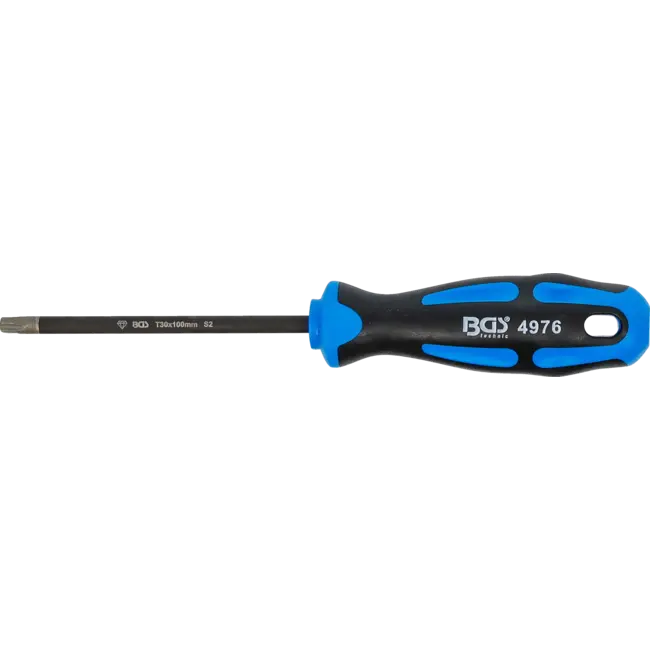 BGS Schroevendraaier - met diamantcoating - Torx T30
