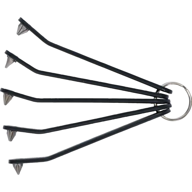 BGS Speciale Bitschroevendraaierset Extra Plat – PH, PZ & SL – 5-delig