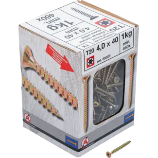 BGS Do it yourself Multischroeven - Torx T20 - 4,0 x 40 mm - 1 kg / 460 stuks