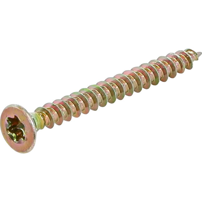BGS Multischroeven - Torx T20 - 4,0 x 40 mm - 1 kg / 460 stuks