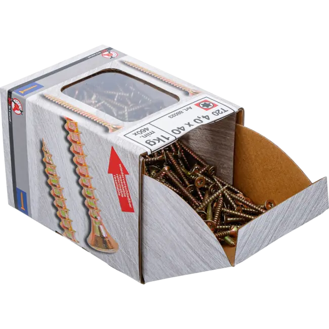 BGS Multischroeven - Torx T20 - 4,0 x 40 mm - 1 kg / 460 stuks