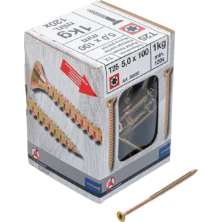 BGS Do it yourself Multischroeven - Torx T25 - 5,0 x 100 mm  - 1 kg / 120 stuks
