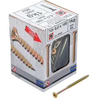 BGS Do it yourself Multischroeven - Torx T25 - 6,0 x 100 mm  - 1 kg / 80 stuks