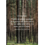 Belvedere  Single Estate Rye Smogóry Forest 70CL