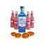 Loopuyt Virgin 0% Alcoholvrij Gin Tonic pakket Fever-Tree Raspberry & Rhubarb