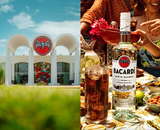 Bacardi: wereldberoemde rum met een rijke geschiedenis