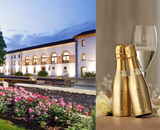 Bottega: ontdek het merk achter de iconische gouden flessen