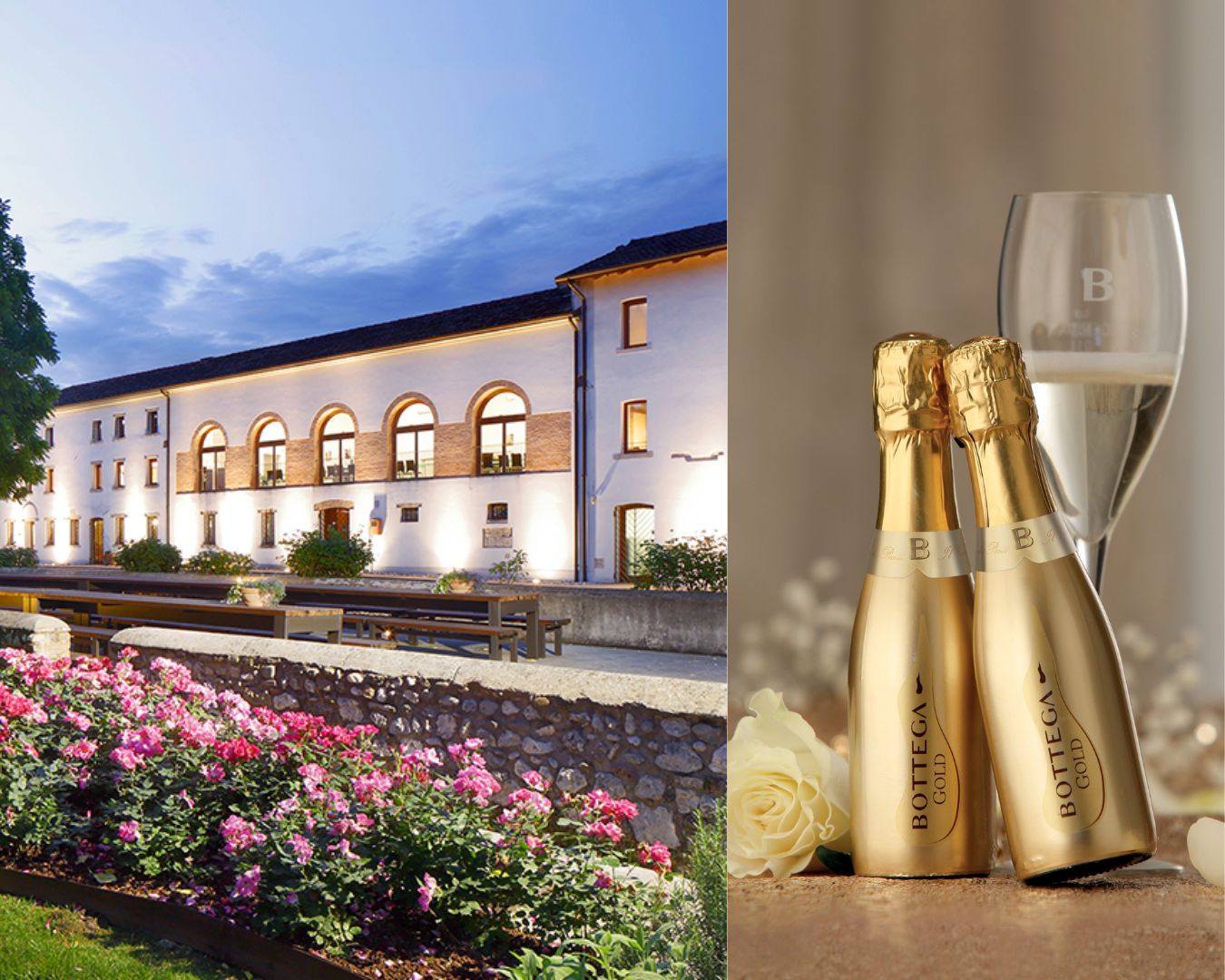 Bottega: ontdek het merk achter de iconische gouden flessen