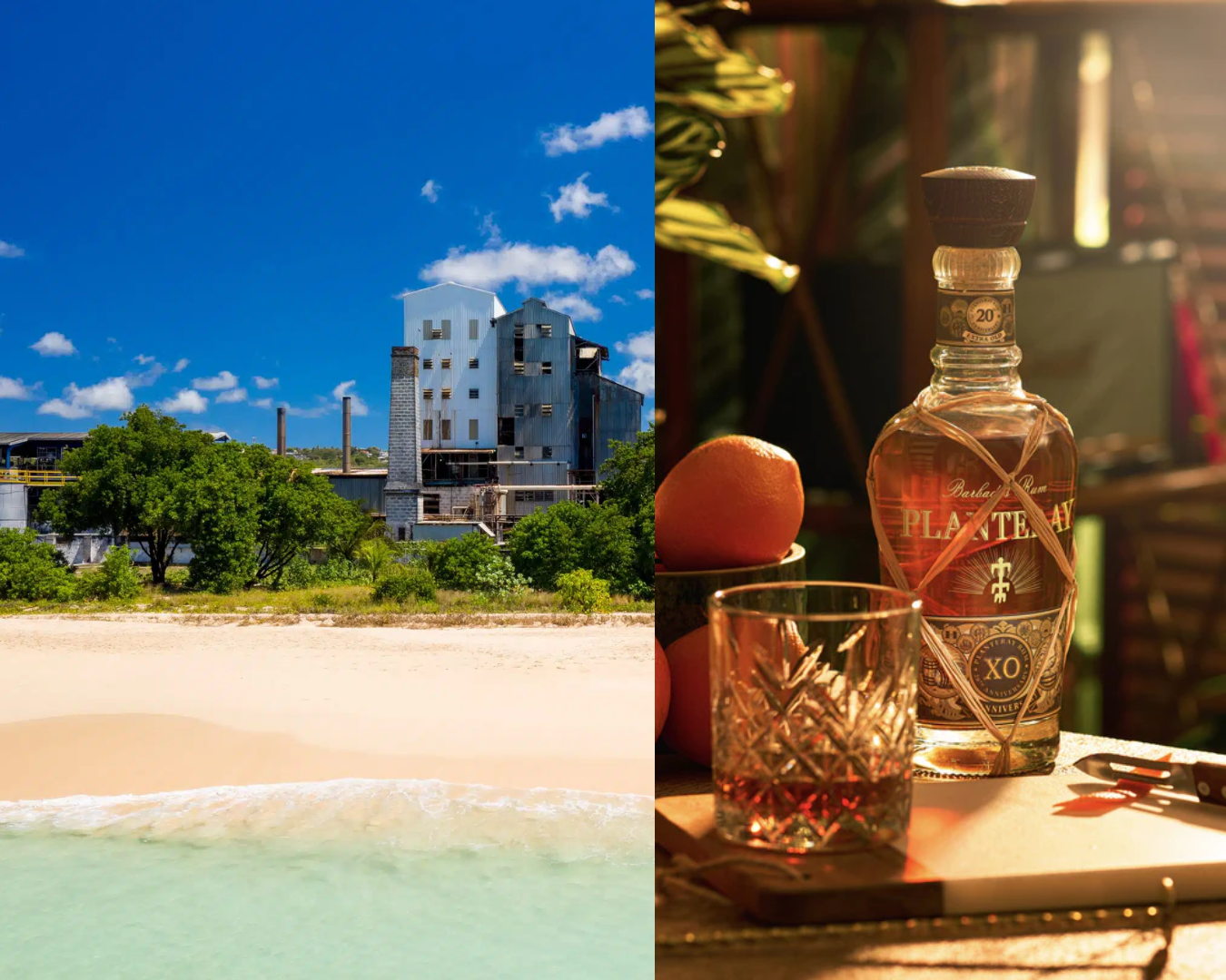 Plantation Rum: ontdek het tropische rummerk vol karakter en vakmanschap