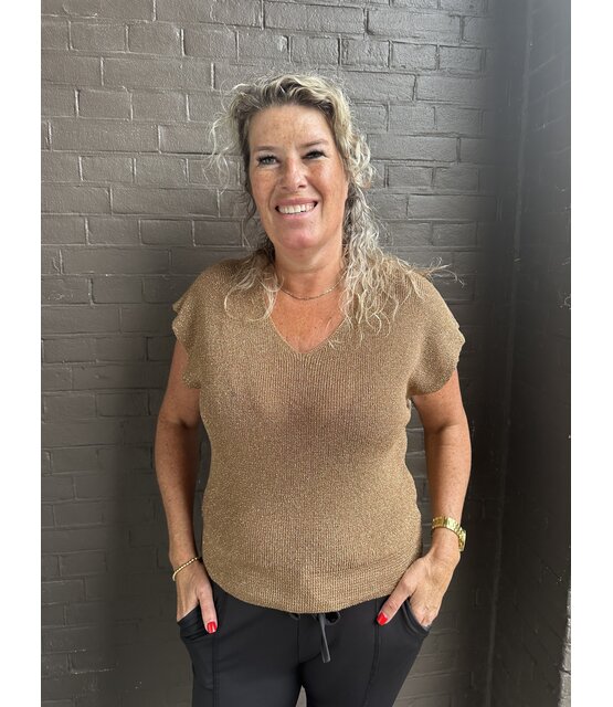 Top Bregje Camel/Glitter Top Bregje Camel/Glitter