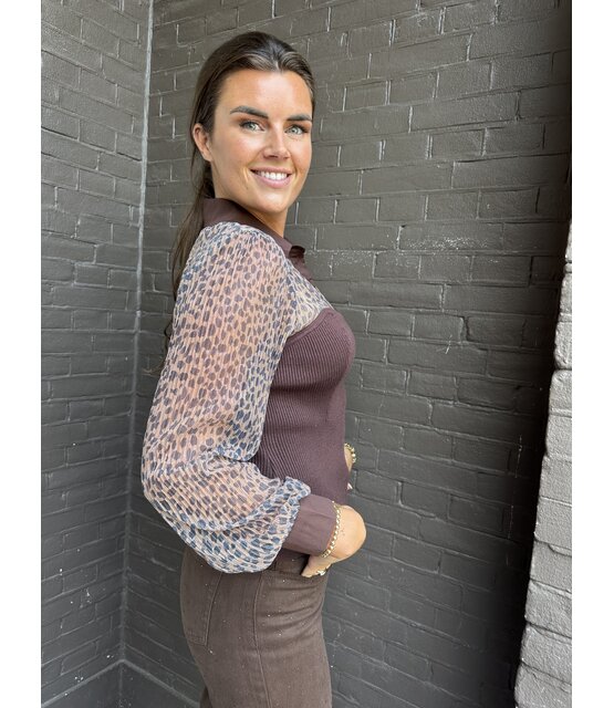 Blouse Clara bruin