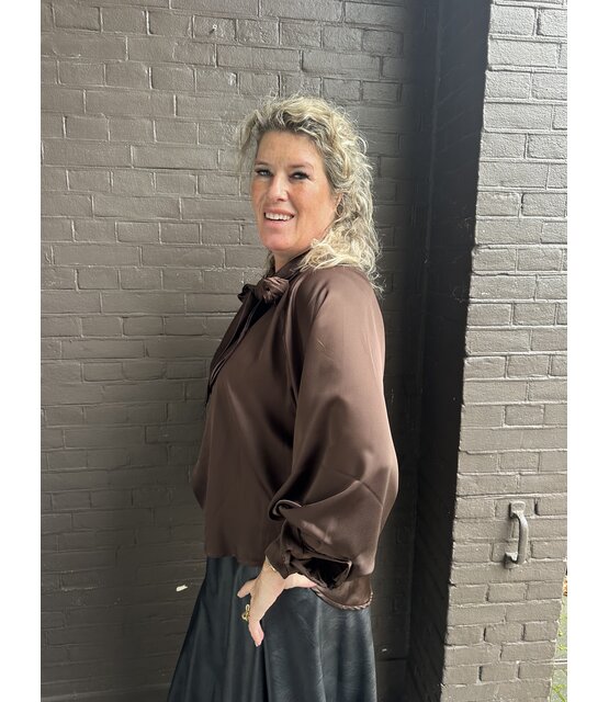 Blouse Dion bruin