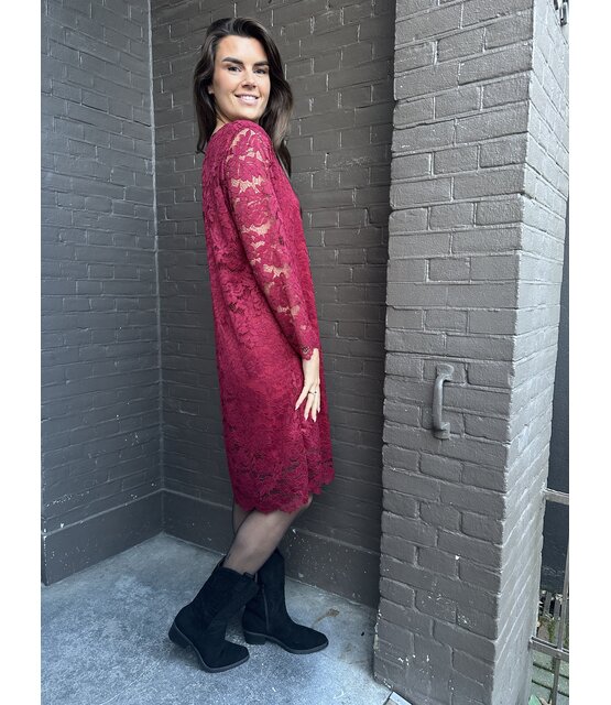 Jurk Kant bordeaux Jurk Kant bordeaux