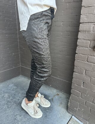 Broek Sacha print bruin