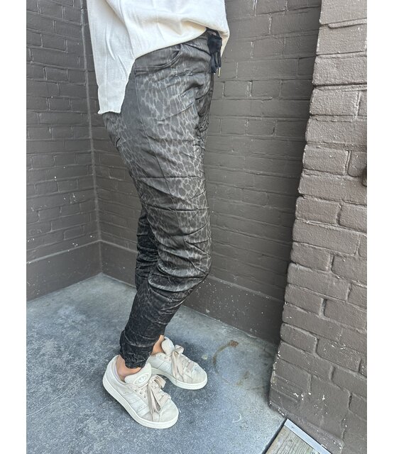 Broek Sacha print bruin