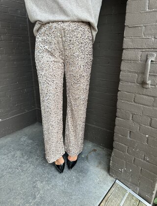 Broek Paillet Taupe