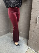 Broek Velvet Bordeaux