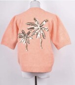 Top Palmboom Abrikoos