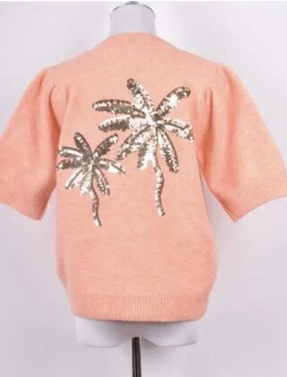 Top Palmboom Abrikoos