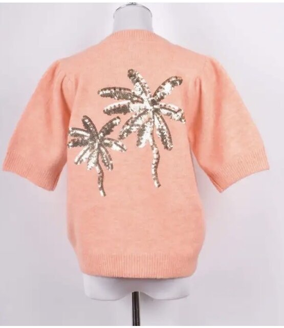 Top Palmboom Abrikoos