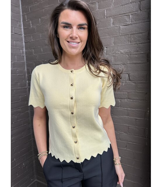 Top/Vest Laurie Geel