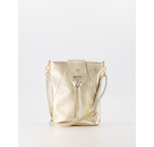 Tas kendra Goud