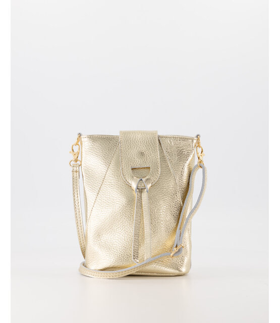 Tas kendra Goud