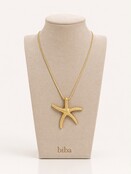 Ketting Zeester Goud