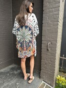Tuniek/Jurk Tijger