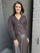 Vest Pien Bruin