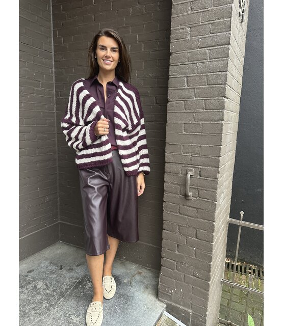 Vest Stripes Aubergine