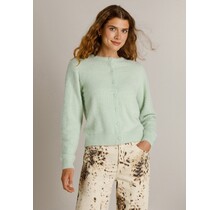 Vest Kaylie Mint Groen
